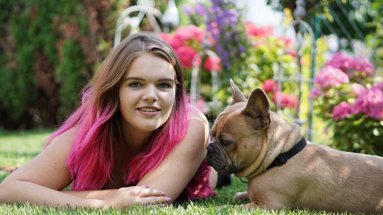 Uncovering the Rare Long-Haired French Bulldog