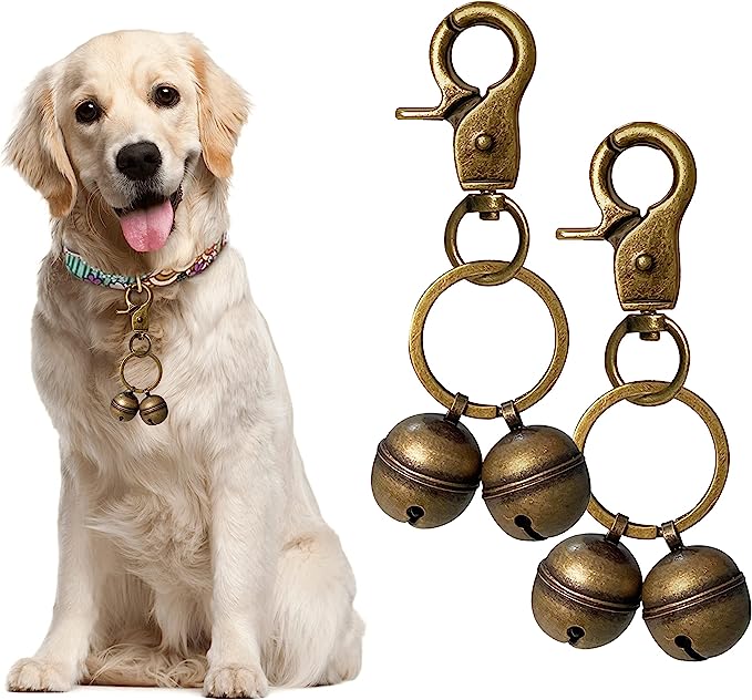 The Complete Guide to Dog Collars with Bells