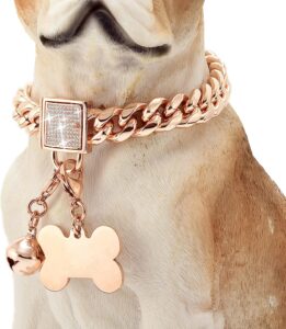 PRADOG Rose Gold Chain Dog Collar with Diamond Buckle Bell & Bone Tag at dogsupplyhub.com