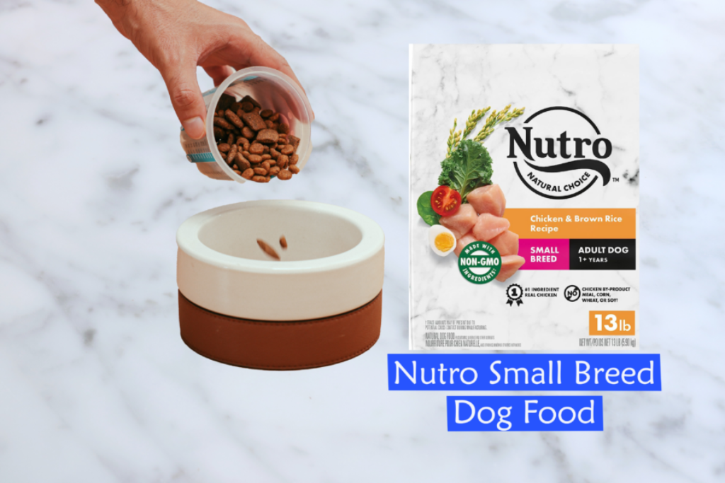 NUTRO NATURAL CHOICE Small Breed Adult Dry Dog Food at dogsupplyhub.com