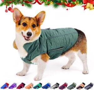 ThinkPet Dog Cold Weather Coats - Cozy Waterproof Windproof Reversible Winter Dog Jacket at dogsupplyhub.com
