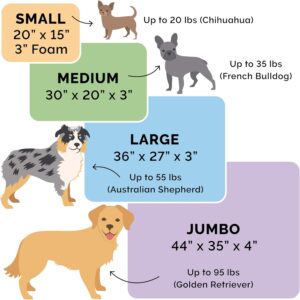 dogsupplyhub.com