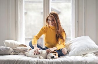 Dog beds for all dog sizes