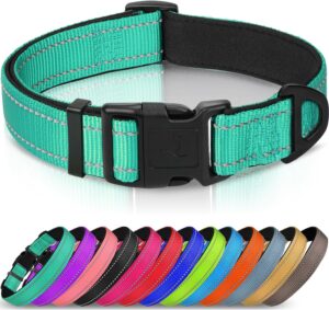 Joytale Reflective Dog Collar,Soft Neoprene Padded Breathable Nylon Pet Collar Adjustable for Large Dogs,Teal,L