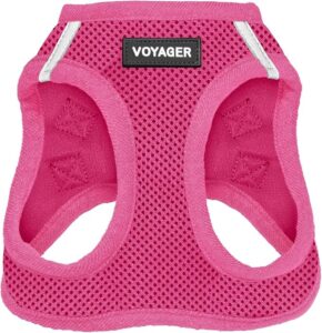 Best Pet Supplies Voyager Step-in Air Dog Harness - All Weather Mesh, Reflective, No Pull Harness for Small, Medium Dogs, Cats - Secure with Hook & Loop Fastener, Buckle, Double D-Rings - Fuchsia, S