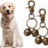 Why Beaded Dog Collars are the Ultimate Fashion Statement for Your Pup