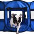 The 5 Best-Selling Luxury Dog Beds on Amazon: A Comprehensive Guide