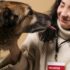 The Complete Guide to Dog Collars with Bells